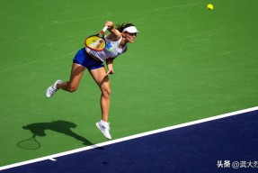 科维托娃赛事官方发布赛事规则更新新规，美国队争议不断！